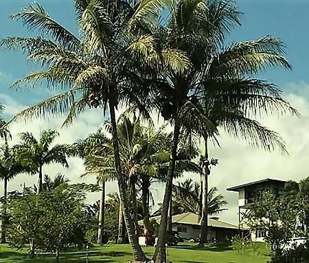 Island Goode'S - Luxury Adult Only Accommodation Near Hilo Papaikou Экстерьер фото