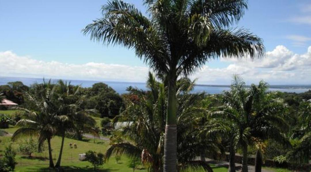 Island Goode'S - Luxury Adult Only Accommodation Near Hilo Papaikou Экстерьер фото