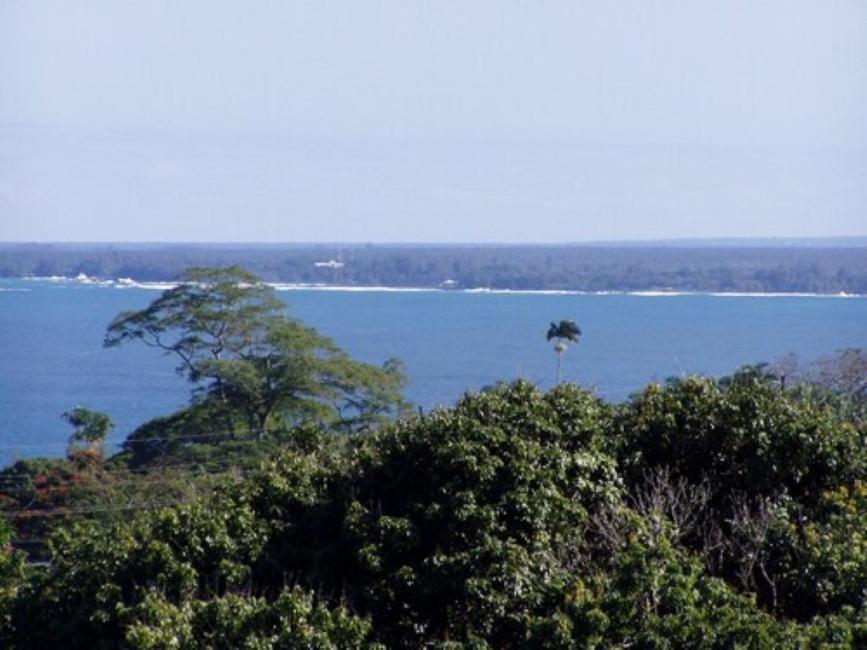 Island Goode'S - Luxury Adult Only Accommodation Near Hilo Papaikou Экстерьер фото