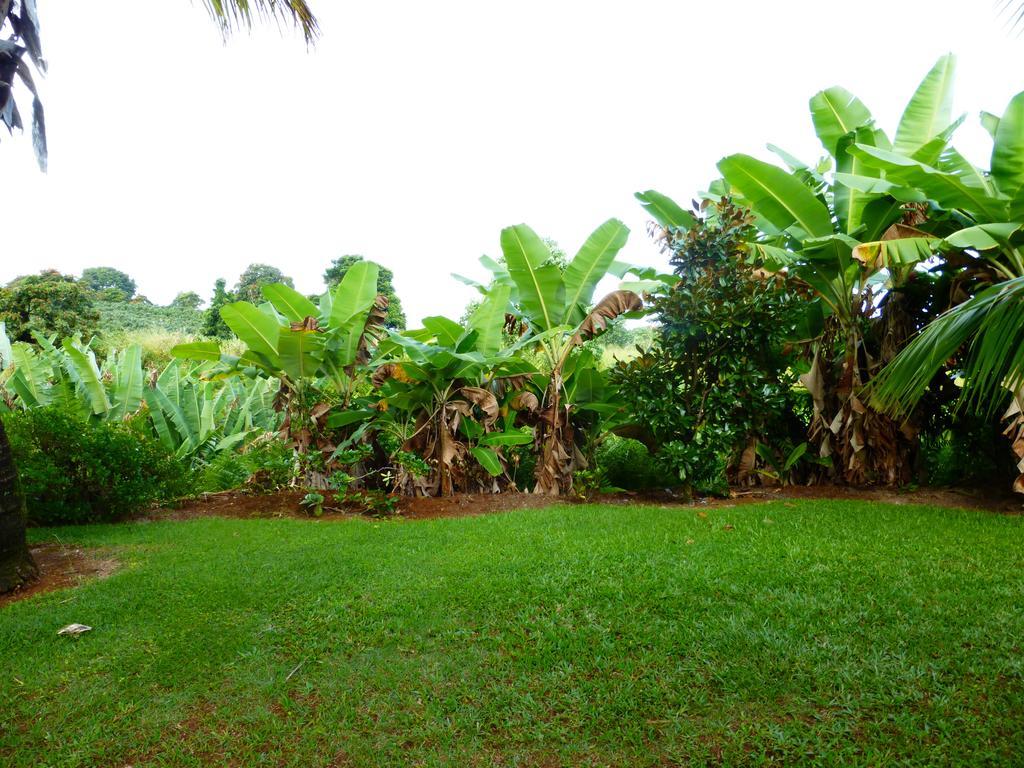 Island Goode'S - Luxury Adult Only Accommodation Near Hilo Papaikou Экстерьер фото
