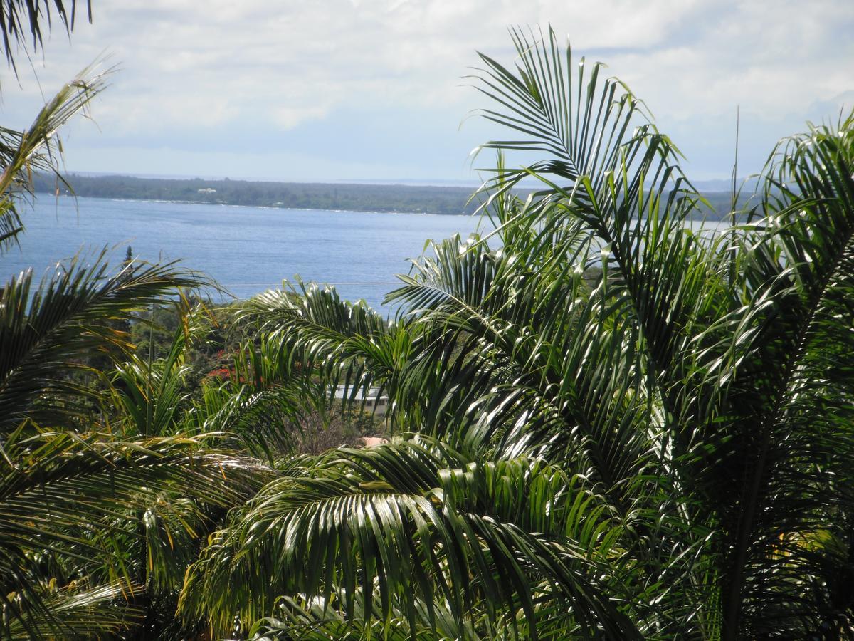 Island Goode'S - Luxury Adult Only Accommodation Near Hilo Papaikou Экстерьер фото