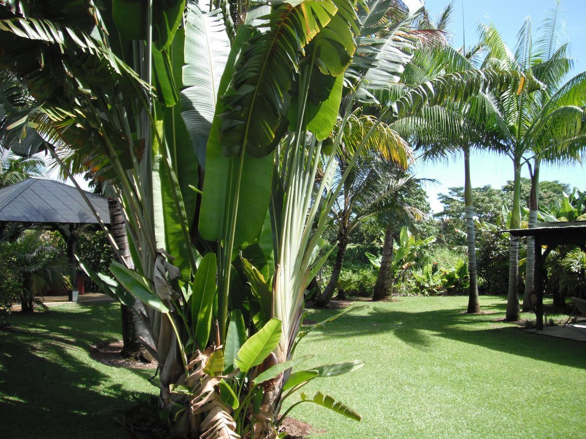 Island Goode'S - Luxury Adult Only Accommodation Near Hilo Papaikou Экстерьер фото