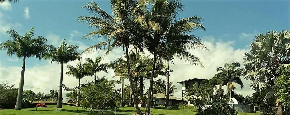 Island Goode'S - Luxury Adult Only Accommodation Near Hilo Papaikou Экстерьер фото